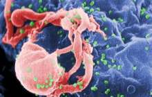 Лизосомалық аурулар