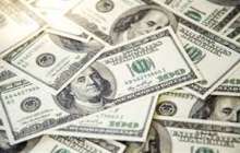 Қаңғыбас тауып алған 17 мың долларды қайырымдылыққа берді