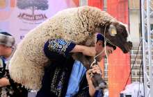 Құйрық бауыр асату: әні, дайындау, дәстүрі