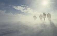 ШҚО-да қасқыр қамаған ауыл тұрғындары құтқарылды