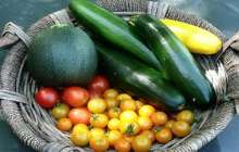 Ғалымдар қатерлі ісікті жоятын жемістер мен көкөністерді атады