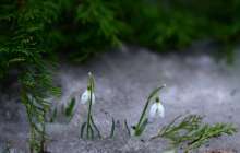 12-14 наурыз күндеріндегі ауа райына болжам