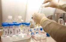 Алматыда Таиландтан келген туристерден Денге безгегі анықталды