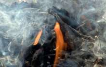 Түркістан облысында екі адам газдан уланып көз жұмды