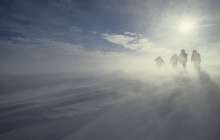 "Қатты айғайладық". ШҚО-да адасқан ауылдықтар қасқырға жем бола жаздады