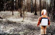 Орманда жалғыз қалып қойған 3 жасар бала аман табылды