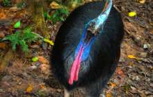 ер адам алған жарақатынан көз жұмды