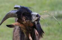 Метроға ешкімен кірген ер адам бүкіл жұртты әуре-сарсаңға салды