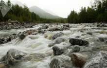 Жаңа министрлікке қандай өкілеттіктер беріледі?