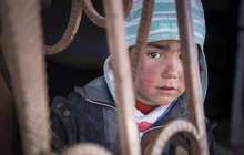 Зейнолла Қабдолов слайд,презентация - Әдебиет