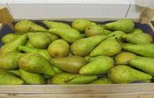 Ішінде ине толы екі қорап алмұрт табылды