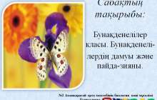 Презентация (слайд): Бунақденелілер класы