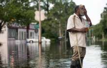 Презентация (слайд): Жылқы шарушылығы және оның негізгі салалары