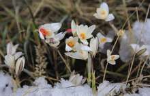 Наурыз айында ауа райы қандай болады