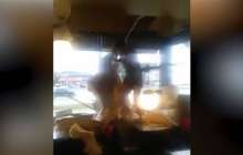 Кафенің шатырынан шалбарсыз құлаған ұры елді шошытты