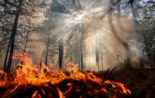 Сібірде 5 мың гектарға жуық орман өртеніп жатыр