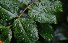 2019 жылдың 18,19,20 маусым күндеріндегі ауа райына болжам