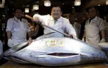 Токиода 3,1 миллион долларға балық сатылды