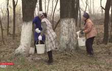 Тоқаев тапсырмасы мұғалімдер мәселесін шеше ме?