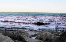 Каспий теңізінде жер сілкінді