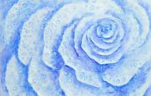 Қардан жасалған гүл - Мира Сембайқызы - Ертегілер - Bilim