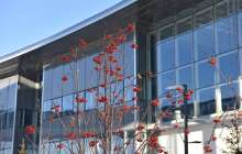 16 тамызда қандай іс-шаралар өтеді