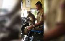 Қазақша эссе: Қазіргі заман мұғалімі