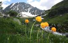 Алтайға кел, ағайын!