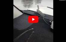 Қазақша сценарий: 30 Тамыз - Конституция күні