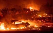 Орман өртеніп, 25 адам қаза тапты