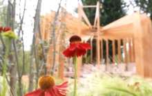 Мәскеудегі "Қазақ бағы" жайлы не білеміз?