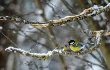 12 қарашада қандай оқиға болды: мереке күндері, тарихи оқиғалар