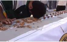 Қазақша презентация (слайд): 1 Қыркүйек - Білім күні (Алғашқы қоңырау)