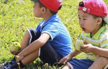 орындарды үлестіру жүйесі қашан қосылады