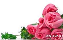 1 Наурыз - Алғыс айту күні (Қазақша - орысша сценарий)