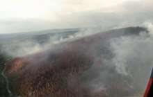 Ресейде 5 млн гектар орман өртенді