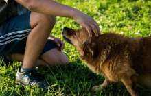 Текеліде жоғалған екі бала табылды