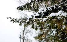 Көктемнің алғашқы күні елімізде ауа-райы қандай болмақ