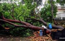 Көшкін салдарынан 9 адам қайтыс болды