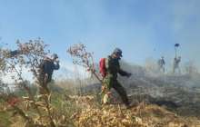 Көктөбедегі жойқын өрттің мән-жайы белгілі болды