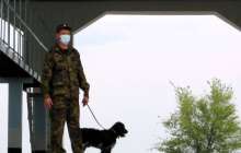 Тараз полицейлері Қытай азаматтарының заңсыз көші-қонын ұйымдастырған