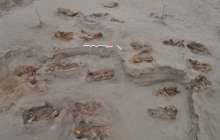 Құрбандыққа шалынған 140 баланың сүйегі табылды