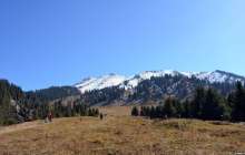 Тоқаев "Көкжайлау" жобасын кейінге қалдыру ұсынысын қолдады