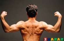 Бұлшықетіңізді қатайтатын тағамдар