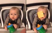 ​Қызық флешмоб: Балалардың бетіне ірімшік лақтыру желіні жарды