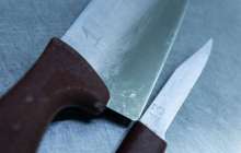 Солтүстік Қазақстанда әйел мен 3 жасар қызының қанға боялған денесі табылды