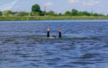 Ағайынды екі жігіттің бірін құтқарған ер адам ар азабына душар болды