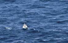 Қарақшылар кемеден 6 теңізшіні ұрлап әкетті