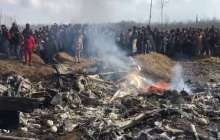 Желіде Пәкістан атып түсірген үнді ұшағы құлаған жерден видео жарияланды