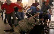 Қырғыз парламенті Кой-Таштағы жағдайға байланысты шұғыл жиналды